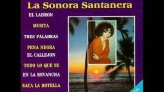 SONIA LOPEZ  EL LADRON [upl. by Arihs21]