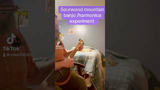 Sourwood banjo with rack harmonica accompaniment banjomusic harmonica [upl. by Aketal]