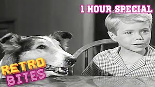 Lassie  1 Hour Compilation  Full Episodes  Kids Cartoon  Videos For Kids [upl. by Rehc]