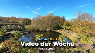 Video der Woche 8112014 [upl. by Aiset]