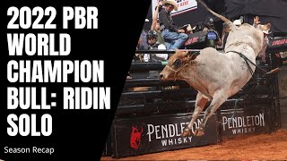 2022 PBR World Champion Bull Ridin Solo Top Highlights [upl. by Anelrihs]