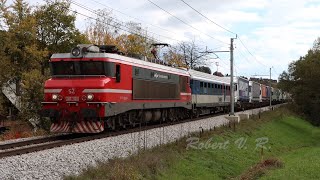 Trains through Šentilj 1 [upl. by Anoynek6]