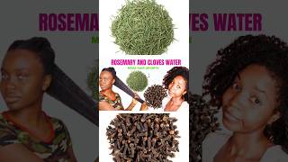 Rosemary and Cloves for hair growth  DIY Best Rosemary water for hair growth shorts naturalhair [upl. by Enyawd365]