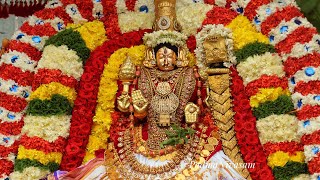 Sri Padmavathi ammavari vasanthotsavam 2024 [upl. by Swayne925]