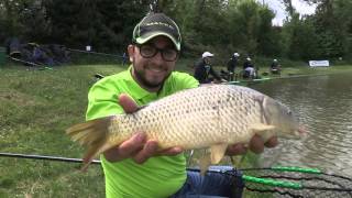 maver roubaisienne black carp 3 [upl. by Cigam]