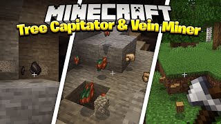 Tree Capitator amp Vein Miner  Survival Addon  Tree Capitator amp Vein Miner Addon download MCPE 121 [upl. by Atikehs902]