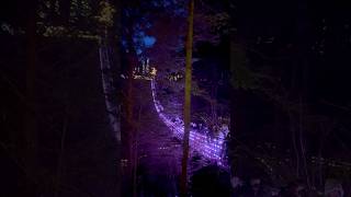 “Canyon Lights at Capilano Suspension Bridge A Magical Winter in Canada” nature travel family [upl. by Yebloc826]