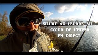 TOUCHE EN DIRECT SILURE AU LEURRE EN HIVER RHÔNE EN CRUE [upl. by Navaj]