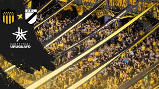 🔥💥😱FIESTA TOTAL DE LA HINCHADA PEÑAROL vs Danubio  Apertura 2024 [upl. by Akirrehs955]