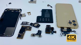 iPhone 12 Pro Max Teardown  Whats Different With iPhone 12 Pro ASMR [upl. by Aihsatal]