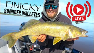 How to Catch Finicky Summer Walleyes [upl. by Otreblif]