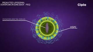 Liposomal technology [upl. by Ecirtael]