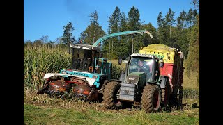 🌽Maisernte24 • Mengele Mammut • Eicher 3085 • Fendt Vario 818 • Deutz Agrotron • Classic Machines🌽 [upl. by Madancy]