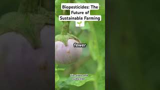 Biopesticides The Future of Sustainable Farming 🌱 trendingvideos pestcontrol science [upl. by Feodor]