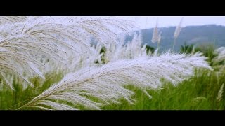 ente gramam എന്റെഗ്രാമം malayalam music video kavitha [upl. by Ellienad]