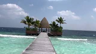 Maldives North Ari Atoll  Kandolhu Maldives  full island 🏝️ video tour [upl. by Harbert927]