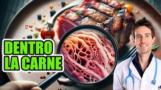 Mangiare una BISTECCA fa MALE Antibiotici ormoni e altre sostanze qual è la verità [upl. by Remy]