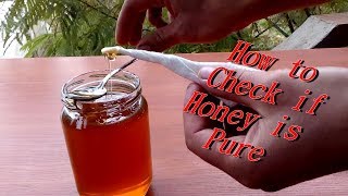 How to check if Honey is Pure [upl. by Marcelle401]