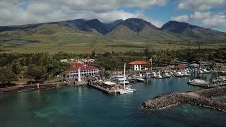 Drone video of Lahaina Town Maui [upl. by Lysander]