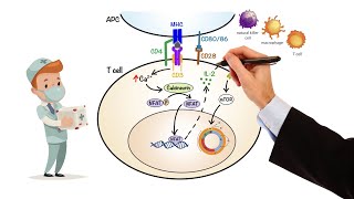 Pharmacology  IMMUNOSUPPRESSANTS MADE EASY [upl. by Sheri]