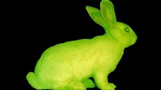 Glow In The Dark Rabbit  Mind Blow 70 [upl. by Aniles]