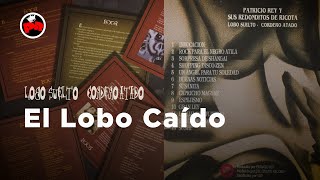 Patricio Rey y sus Redonditos de Ricota  El Lobo Caido Audio Oficial [upl. by Adnilym]