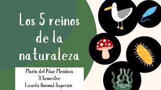 LOS 5 REINOS DE LA NATURALEZA [upl. by Bourgeois771]