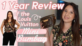 Louis Vuitton Mini Bumbag  1 Year Review amp Mod Shots [upl. by Dorreg]