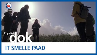 Therapie voor het hoofd dit is het Ziltepad een nieuwe Friese wandelroute  FRYSLANDOK [upl. by Drannel]