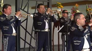 MARIACHI NUEVO TECALITLÁN  LA FERIA DE LAS FLORES [upl. by Nitsruk]