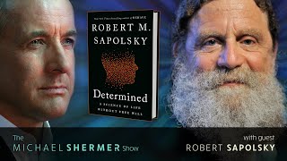 Robert Sapolsky on Free Will and Determinism [upl. by Kyne]