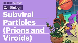 Subviral Particles Prions amp Viroids Explained Full Lesson Sketchy MCAT [upl. by Masao]