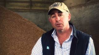 Cattle nutrition at Australian feedlots [upl. by Stefan]