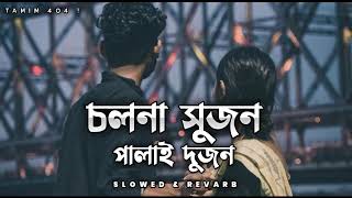 Cholna Sujon  চলনা সুজন  Slowed amp Reverb  Siam  Toya  Tamim Hasan [upl. by Anaela]