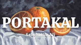 PORTAKAL SABAHATTİN ALİ SESLİ KİTAP [upl. by Patience675]