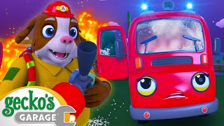 Geckos Garage  Firefighting Friends  Cartoons For Kids  Toddler Fun Learning [upl. by Astiram621]