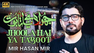 Jhoola Hai Ya Taboot Tumhara Ali Asghar  Mir Hasan Mir Nohay 2024  Muharram 20241446 [upl. by Drus398]