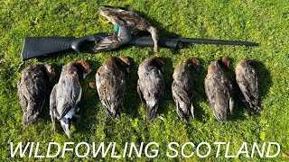 Wildfowling  Scottish Foreshore [upl. by Yirinec]