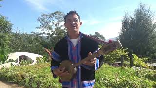 Coppersmith Barbet bird and Great Barbet bird singing at the river the land of Maesigow CAHEH [upl. by Ailemor]