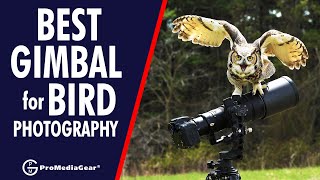 Best Gimbal Head for bird photography for Canon Nikon Sony DSLR Mirrorless 500 600 200500  LIVE [upl. by Roselani504]