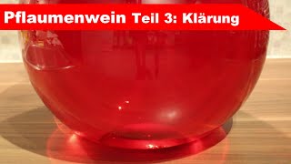 🍷 Pflaumenwein selber machen 🍷 Teil 3 schwefeln und klären  Finalisierung  Fermentastisch [upl. by Armilda163]