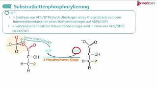 Glykolyse Part 3 [upl. by Gottuard]