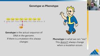 BIO201 Ch146  Mutations and DNA Repair [upl. by Ninaj]