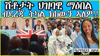 ሽቶታት ህዝባዊ ማዕበል ብደረጃ ትካል ክከውን ኣለዎ DESTA TV  MARY SHOW  2024 [upl. by Basir]