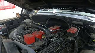 59 Cummins Ppump more HP for cheap [upl. by Calvano170]