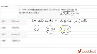 If a somatic cell undergoes two successive nuclear divisions without cytokinesis [upl. by Pazit41]