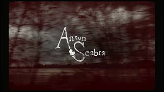 Anson Seabra  The Man She Needs Official Lyric Video [upl. by Hitchcock404]