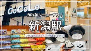 【新潟観光】2024年 進化した新潟駅！朝ごはんにぴったり 20種類の『新之助』おにぎり限定ショップであの大人気おせんべい＆お菓子のご当地土産新しい観光拠点 賑わうCoCoLo新潟【新グルメ】 [upl. by Eiuqram]