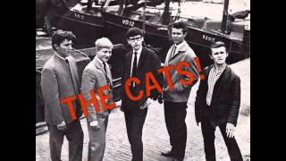 The Cats  Jukebox [upl. by Kliman]