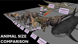 Animal Size Comparison 3D [upl. by Anerbes]